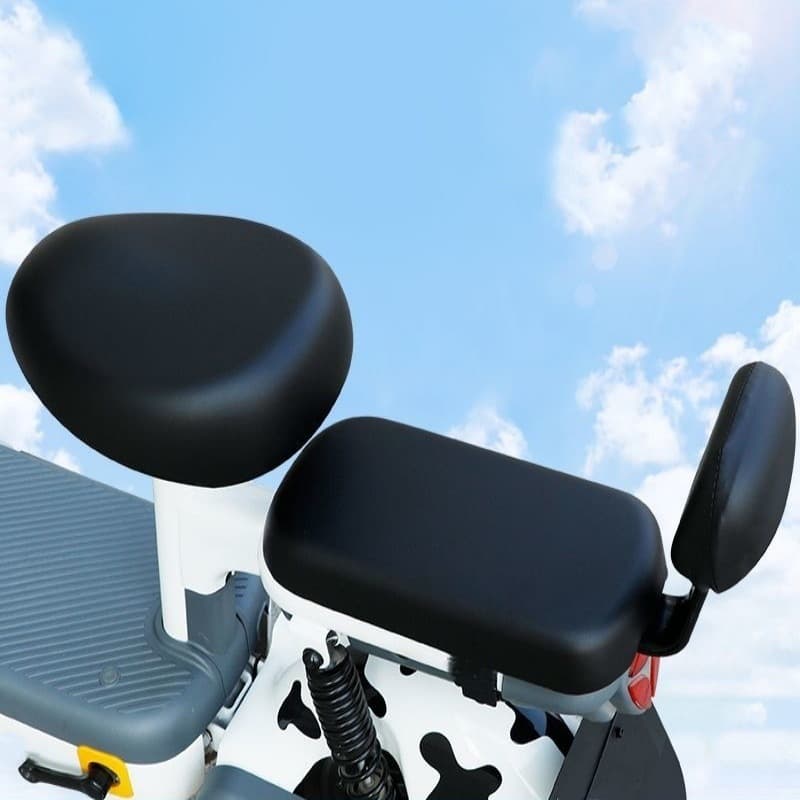 Electric Vehicle Seat Cushion, Sun-Protective, Thickened Rear Seat Cover for E-Bike and Bicycle