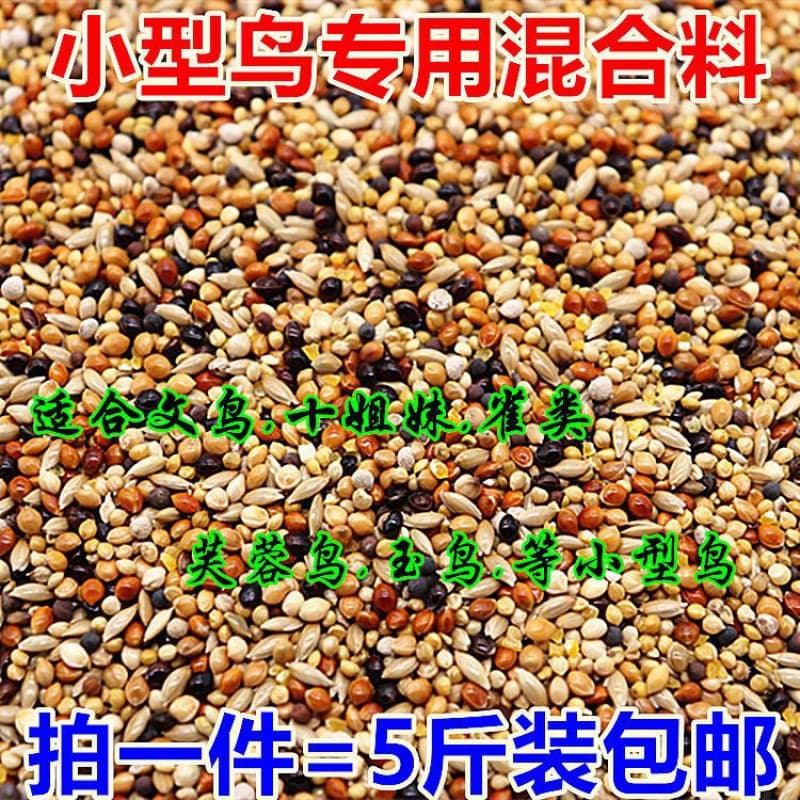Colorful Finch Birds, Canary Birds, Pearl Birds, Mixed Bird Food, Bird Feed, Bird Supplies