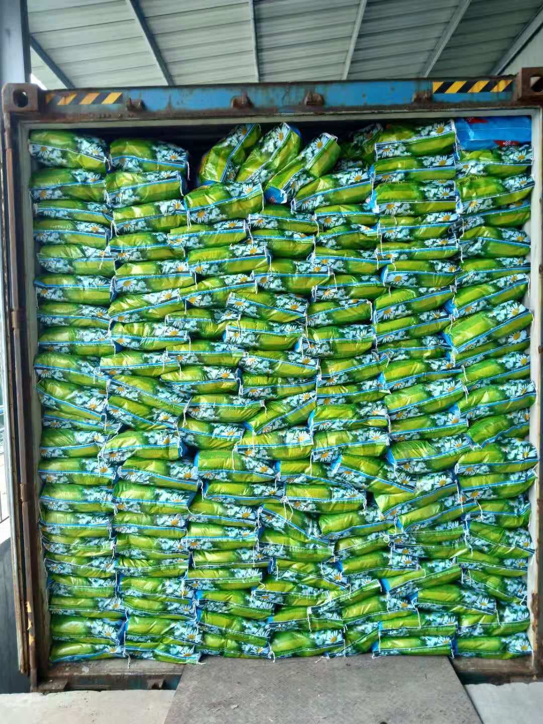 Export to Middle East Iraq, Yemen, Saudi Arabia laundry detergent, high foam, strong fragrance, Shandong OEM processing factory