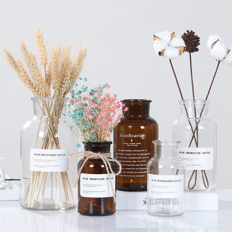 Factory Glass Reagent Bottle Creative Home Flower Arrangement Container Minimalist Hydroponic Vase Wholesale Glass Cup Small Capacity