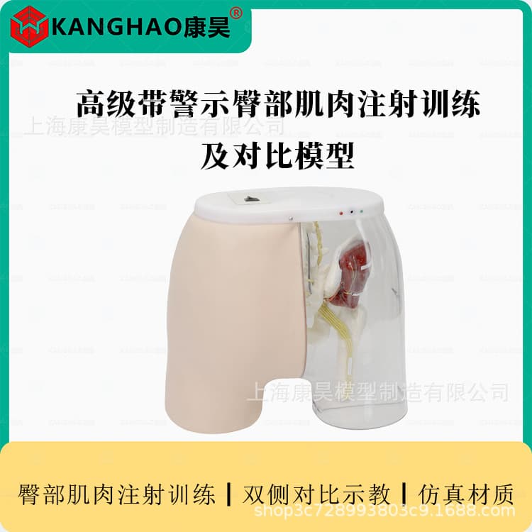 Buttock muscle injection and puncture training teaching dummy Buttock muscle injection and transparent comparison model