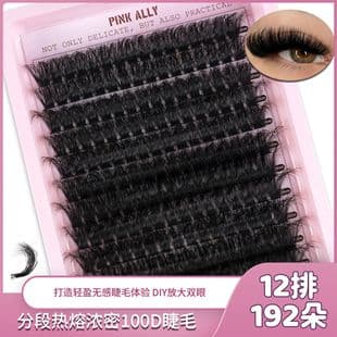 Cross-border EU/US 12-Row Large Capacity Hot Melt Thick 100D False Eyelashes, Curled Natural Look for Beginners