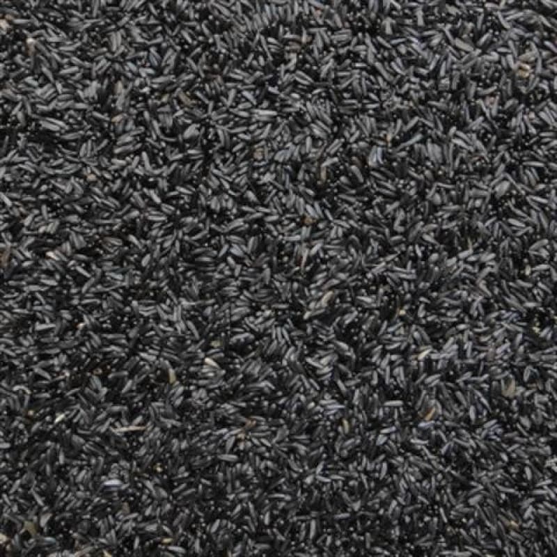 Black Niger Seed for Bird Feeding - Canary and Finch Bird Food - Black Niger Seeds