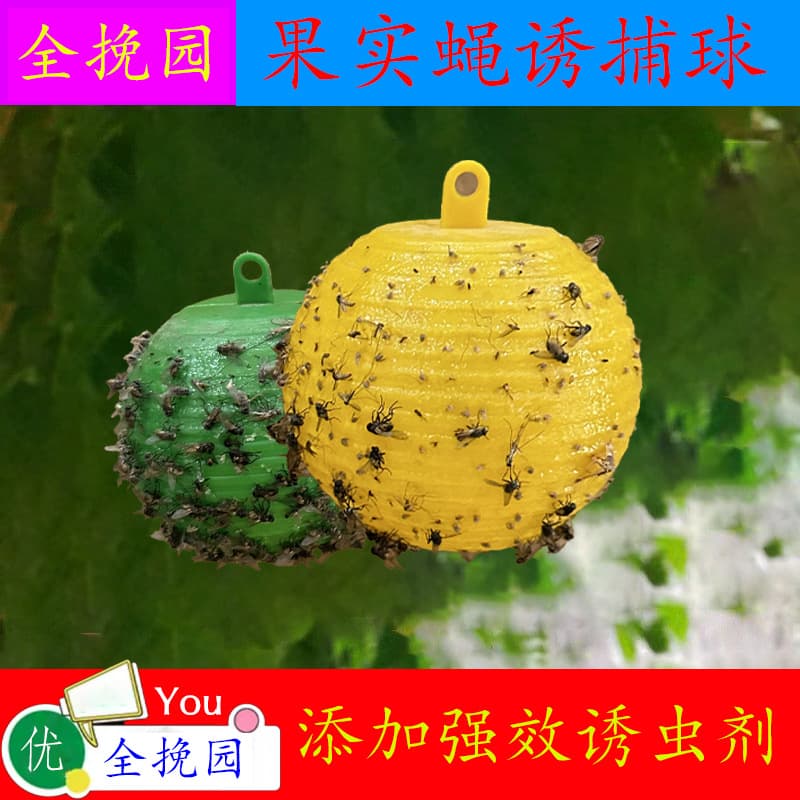 Cross-border Trade Sticky Insect Balls, Fruit Fly Stickers, Fly Attractant Balls, Genuine Citrus-colored Pest Lure Traps for Fruit Tree Insects