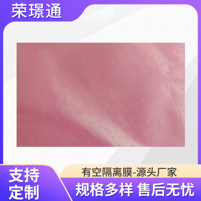 Wholesale Stock Anti-Static PE Perforated Isolation Film, High-Temperature Resistant Mesh Single/Double Silicone Nail Art PET Raw Film Slices