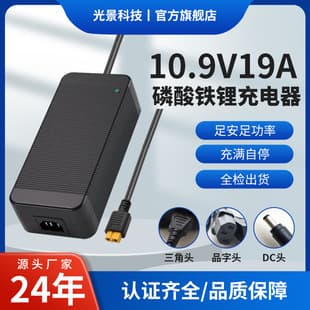 Factory Direct 10.9V 19A LiFePO4 Charger LiFePO4 Battery Charger Supports OEM Customization