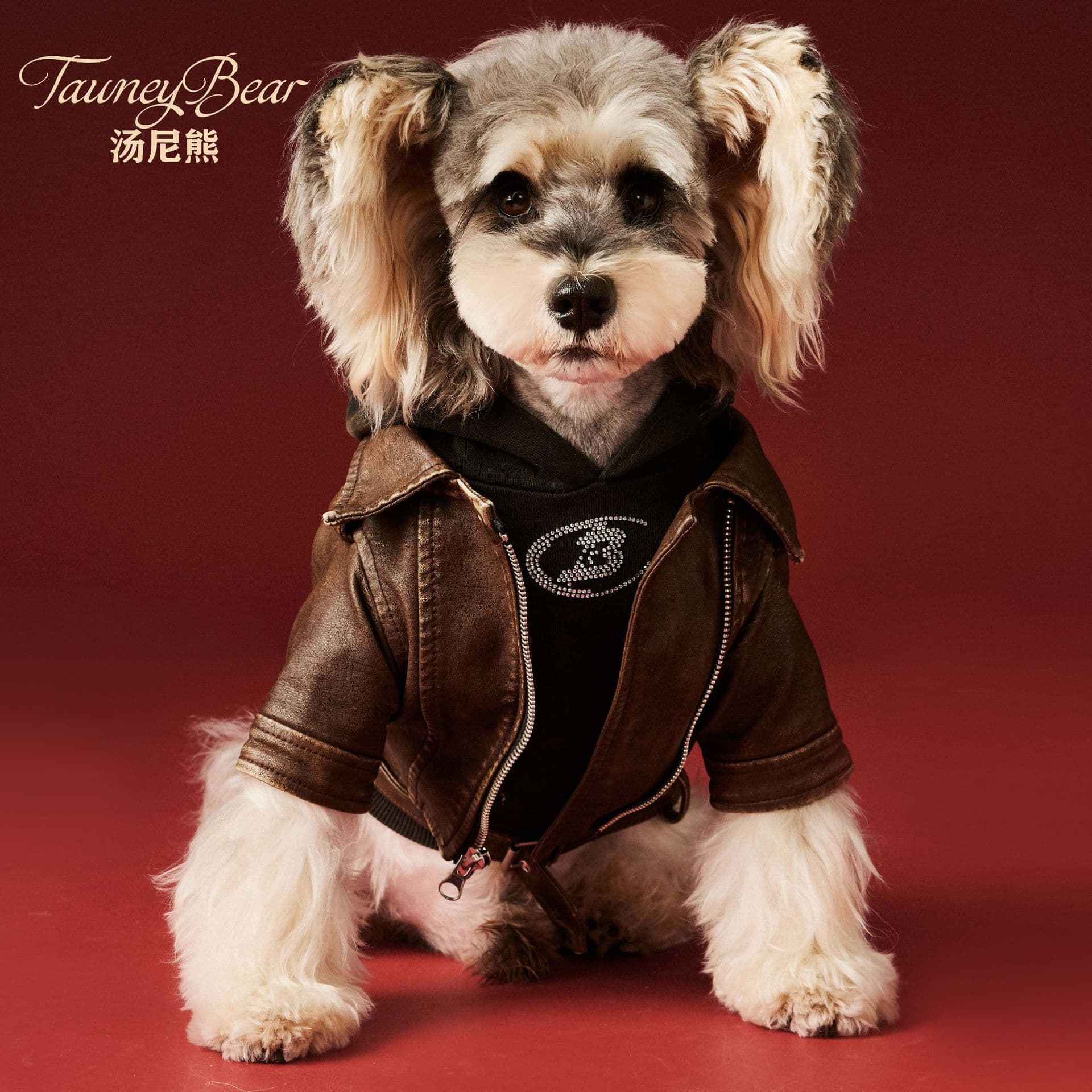 TawneyBear Dog Clothing Autumn Winter Schnauzer Teddy Bichon Frise Retro Vintage Cool Motorcycle Leather Jacket