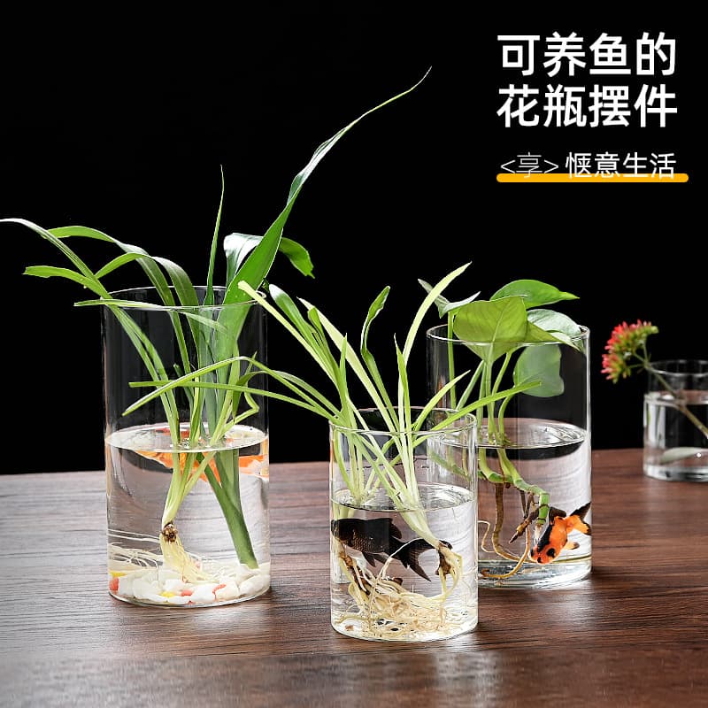 Wholesale Borosilicate Glass Jar Straight Glass Flower Pot Hydroponic Plant Eco-friendly Vase Transparent Fish Tank Vase