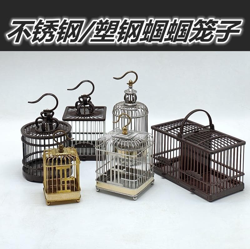 Katydid Cage Making Craft, Observe Katydid, Plastic-Steel Insect Cage, Climbing Small Cage