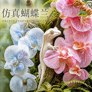 Crested Gecko Terrarium Artificial Phalaenopsis Fake Plant Leopard Gecko Lizard Snake Climbing Enrichment Green Plant Breeding Box Ornament