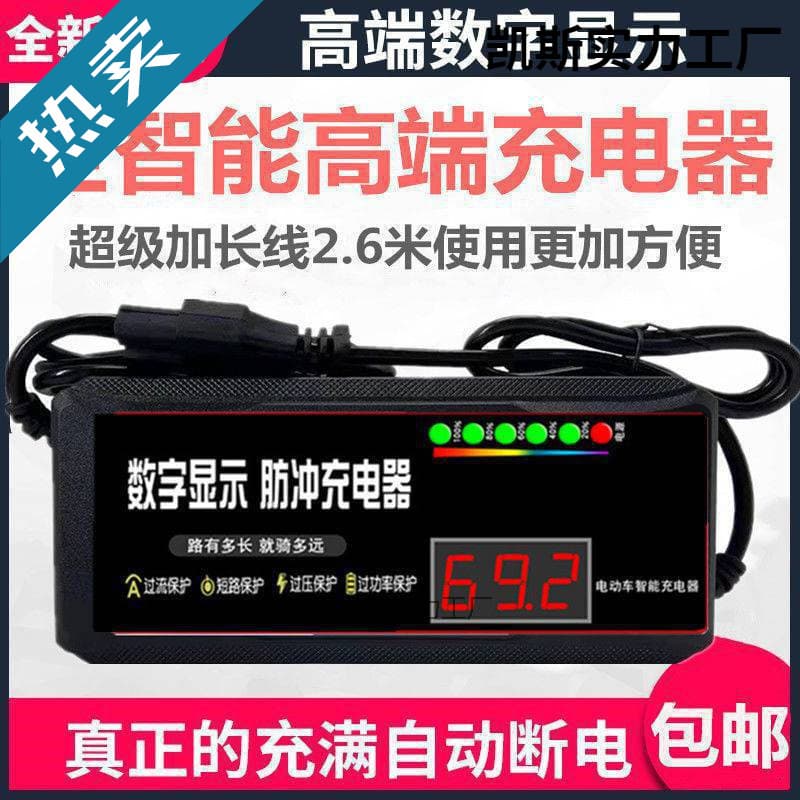 Universal Pulse Maintenance Charger for 48V/60V/72V Lead-Acid Batteries with Activation/Repair Function