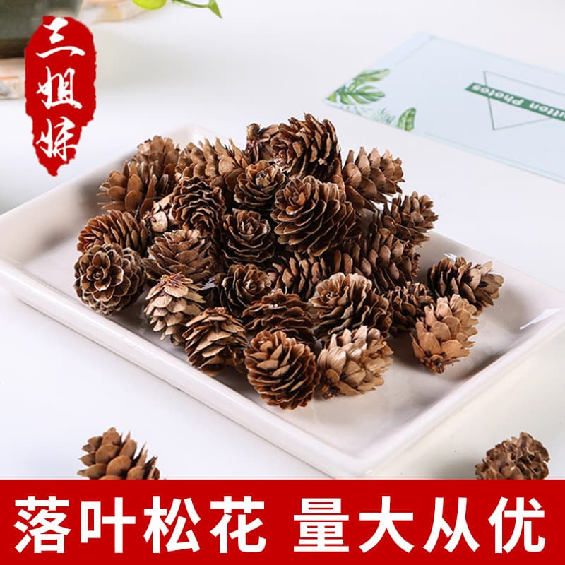DIY Handicraft Pinecone Mini Fallen Leaves, Mini Pine Flowers, Pendant Lights, North China Fall Decorations, Christmas Ornaments Wholesale