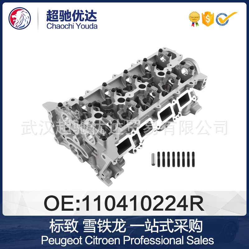 110410224R 910038 Engine Cylinder Block for Peugeot Citroen Renault Nissan H5F 1