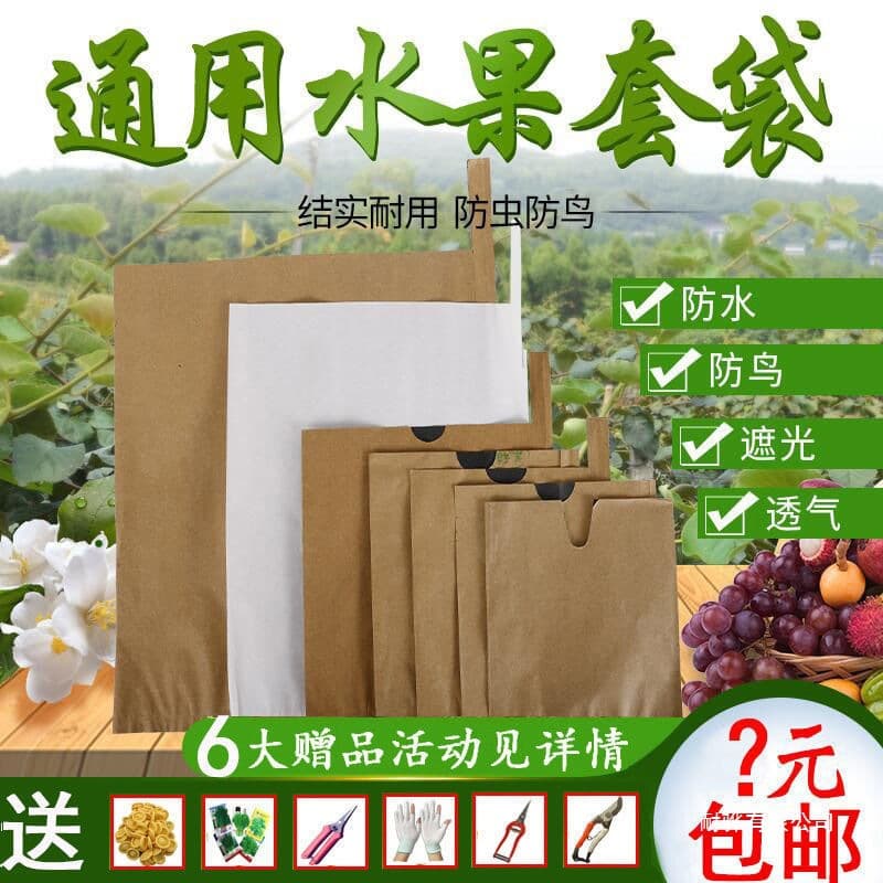 Fruit Bagging Loquat Bagging Mango Bagging Pear Bagging Peach Bagging Citrus Bagging Apple Bag Pomelo Lemon