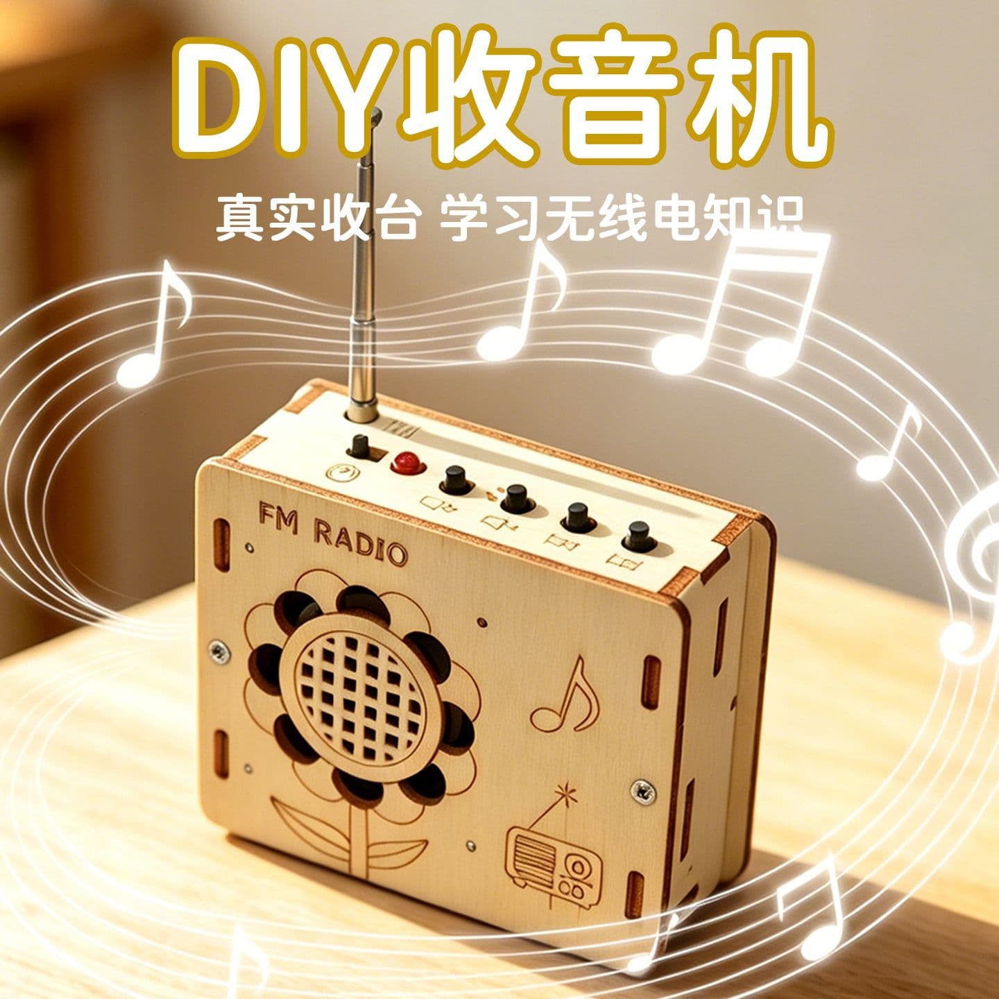 DIY Radio Science Experiment Wooden Kit for Elementary School, Vintage Radio Teaching Aid