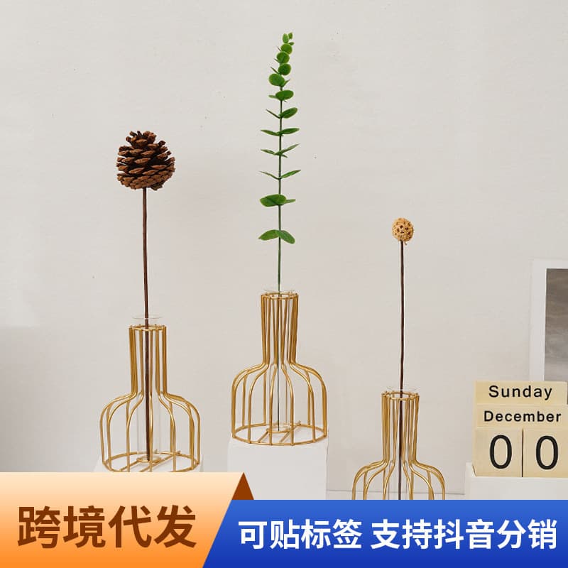 Instagram-style Nordic transparent glass vase, creative and minimalist home decor, living room dried flower vase, wholesale.