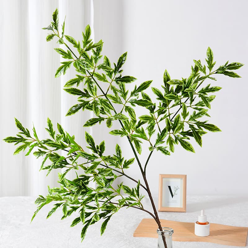 Factory Direct Artificial Green Plant White-edged Polyscias Indoor Living Room Decoration Fake Branch Green Leaves
