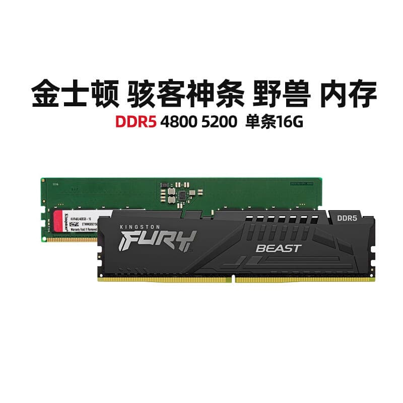 Compatible with Kingston 5200/6000 Beast FURY Desktop Computer Memory DDR5