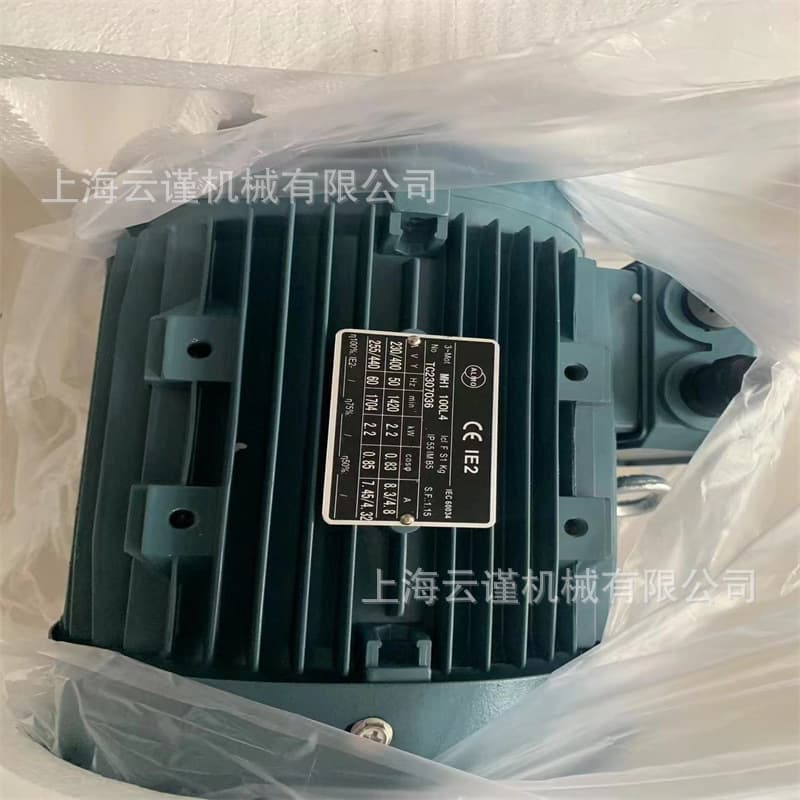 Italian Bronzoni Single-Direction Asynchronous Motor D2003A-IE2-80 Brake Motor