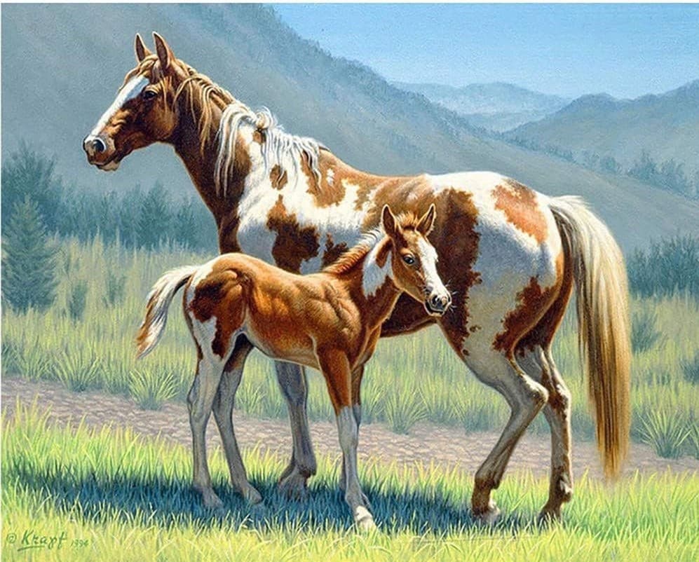 Two Horses on Grass Full Diamond Painting Factory Direct Supply