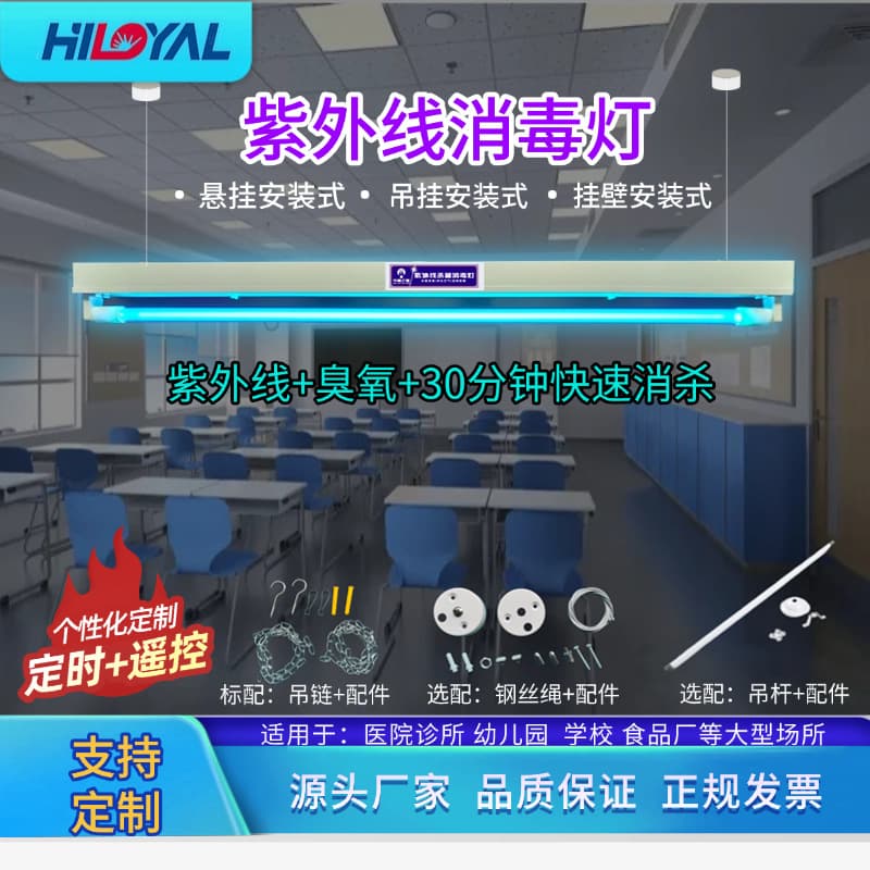Ultraviolet Disinfection Lamp School Kindergarten Hospital Food Factory Workshop Disinfection Germicidal Lamp Tube
