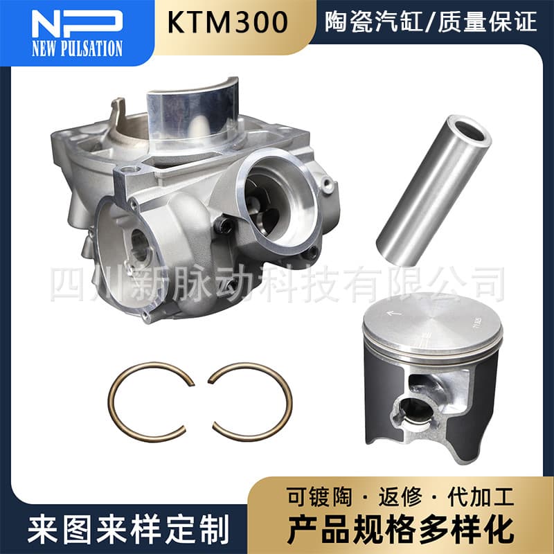 Cylinder Kit for KTM 300 18-23 EFI KTM 300 EXC TPI Cylinder