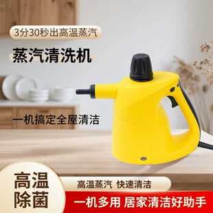 Hot Selling High Temperature Handheld Steam Cleaner Kitchen Sterilization Disinfection Home Multi-Function All-in-One Cleaning Machine Wholesale