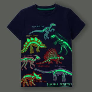Children's Clothing 2026 Summer New Arrival Kids T-Shirt Glow-in-the-Dark Dinosaur New Boys Short Sleeve Children's Clothing Factory Wholesale