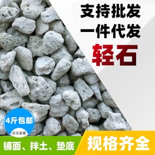 Factory Wholesale Pumice Granules for Succulent Soil Mix, Top Dressing, Bottom Layer, Aquarium Landscaping, Water Filter Media, Orchids