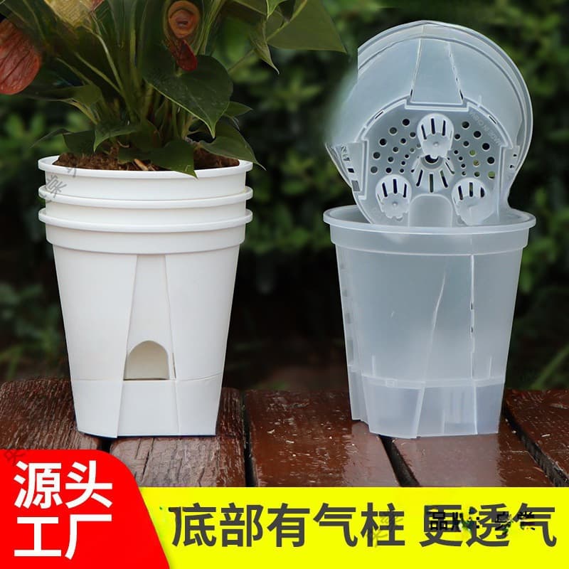 New Water Storage Transparent Green Basin Self-Absorbing Lazy Basin Root Control Basin Amaryllis Butterfly Orchid Plastic Flower Pot Wholesale