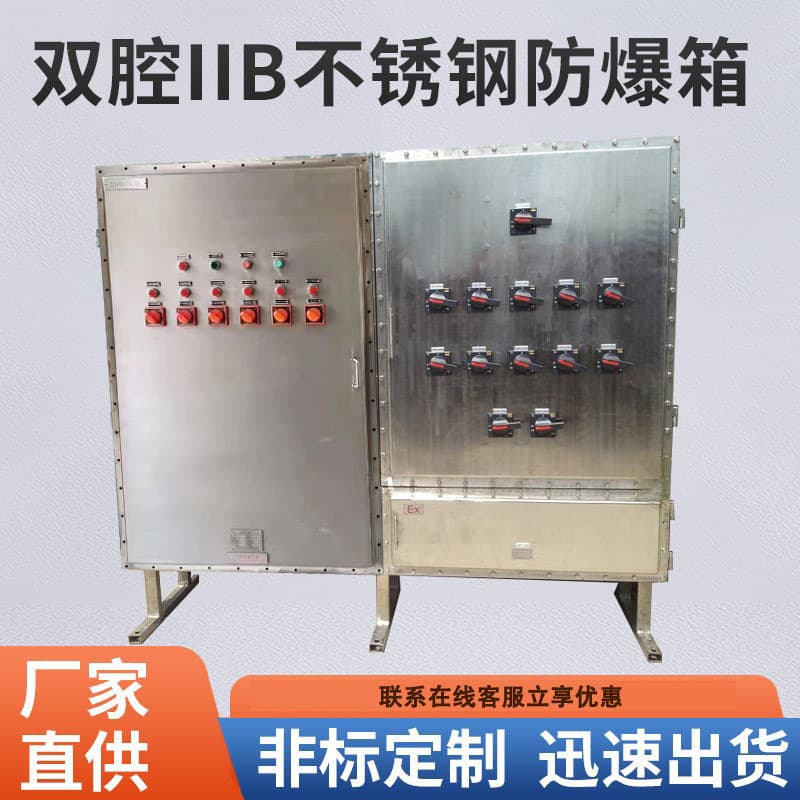 Double Chamber IIB Stainless Steel Explosion-Proof Box Stainless Steel Explosion-Proof Distribution Control Box Stainless Steel Flameproof Explosion-Proof Box