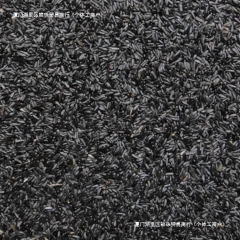 Black Tip Grass Seeds Are Bird Food That Promotes the Reproduction of Niger Hibiscus. Bird Food Canary Jade Bird Jade Bird Black Tip Seeds