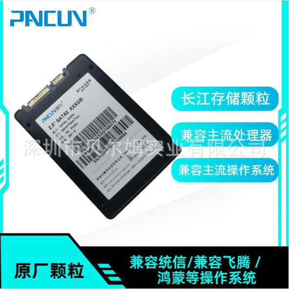 PANCUN Domestic Yangtze Memory SSD 2.5-inch SATA Solid State Drive 128G\256G\512G\1T