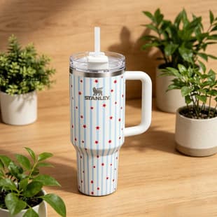 STANLEY Co-branded 40oz Insulated Tumbler with Straw, Striped Star Pattern, High-Aesthetic Portable Ice Tumbler for Outdoor and Office Use