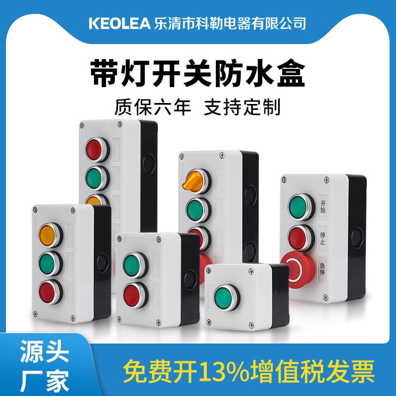 Handheld Control Box with Light Button Self-Reset Start Stop Waterproof Electrical 24V 220V Power Spurting IP65 Rated Voltage