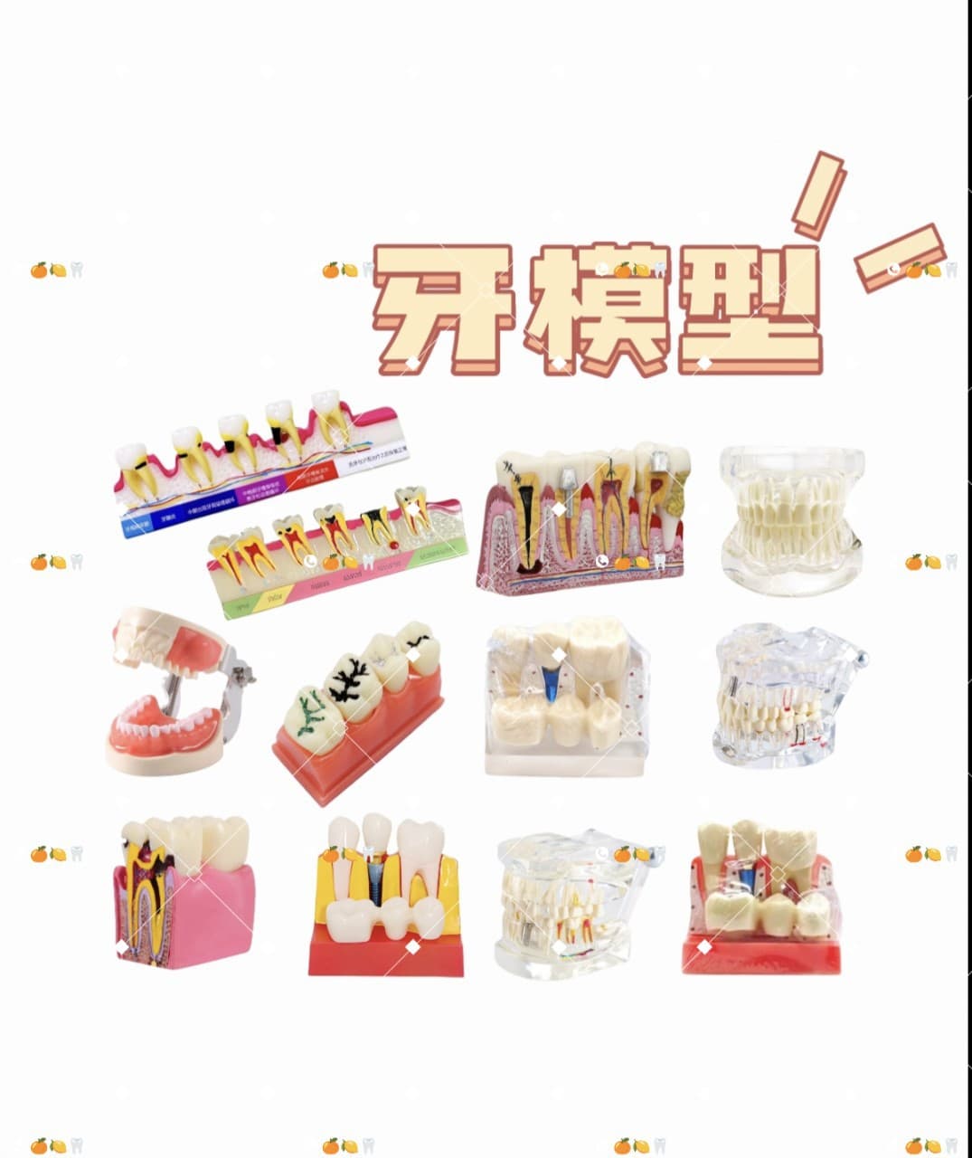 Dental Model Mold Teeth Model Removable Oral Cavity False Teeth Brushing Tooth Preparation Model Resin