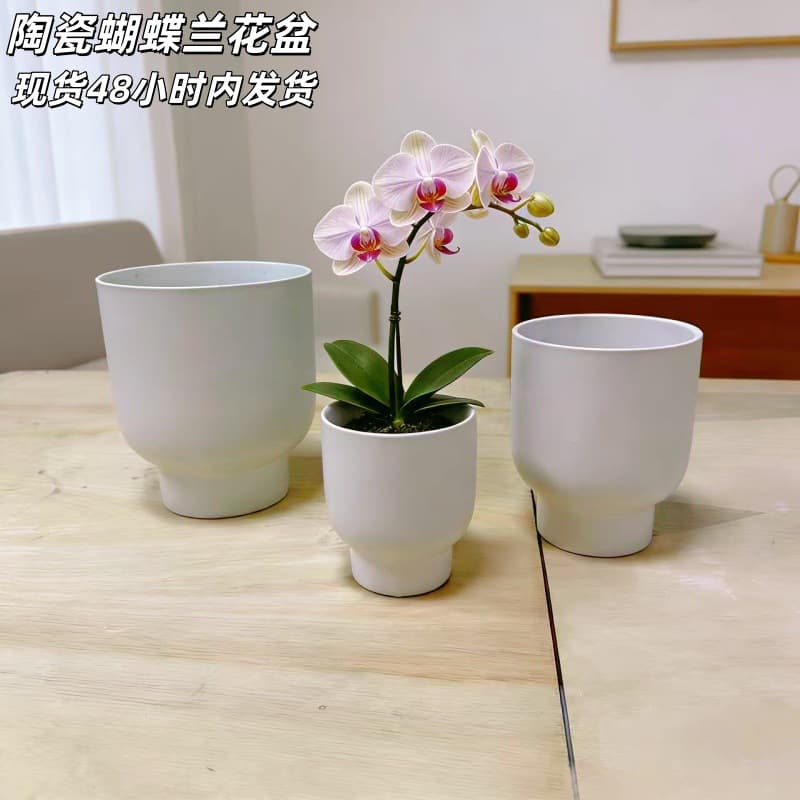Matte Ceramic Flower Pot, Minimalist Indoor Desktop Home Gardening for Pothos and Phalaenopsis, Large and Extra Large Sizes, In Stock