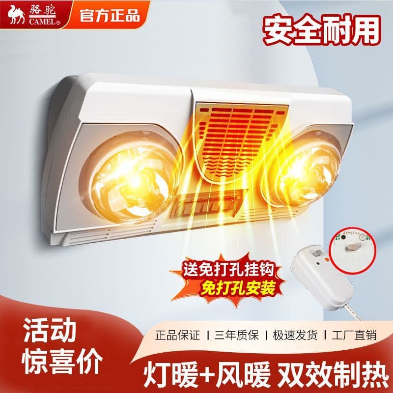 Cross-Border Two-in-One Explosion-Proof Wall-Mounted Bathroom Heater with No-Drill Installation and Multi-Functionality