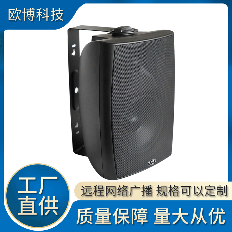 OBT Constant Voltage Wall-Mounted Speaker, Background Music for Commercial Supermarkets, 5/6/8-inch Conference Room Classroom Public Broadcast