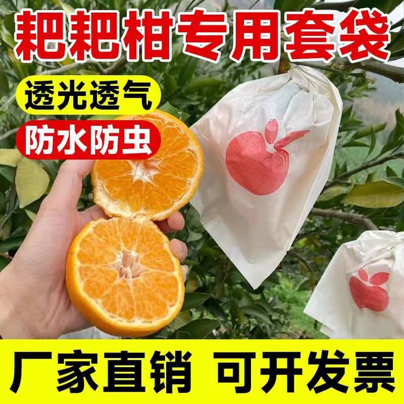 Citrus Fruit Bags, Shiranui Bags, Ugly Mandarin Bags, Red Beauty Bags, Ponkan Bags, Fruit Bags Wholesale