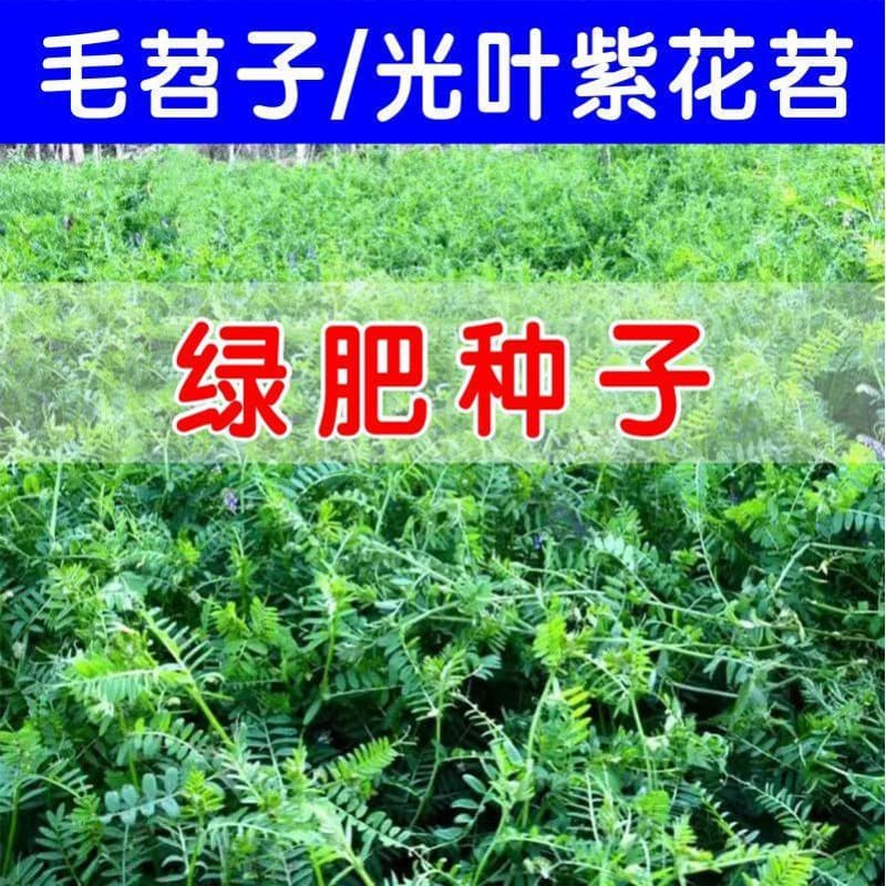 Green manure seeds, light-leaf purple sweet potato seeds, villous vetch, arrow tongue peas, orchard honey source, wild sweet potato seeds