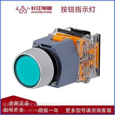 Changjiang Electric LA38-10/201A round flat self-resetting button LA38-10D/201A round flat with light in stock