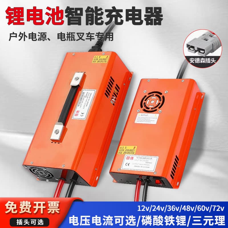 Dedicated Lithium Battery Charger High Power 12V 24V 48V 30A 50A 100A Ternary Lithium LiFePO4 Charger