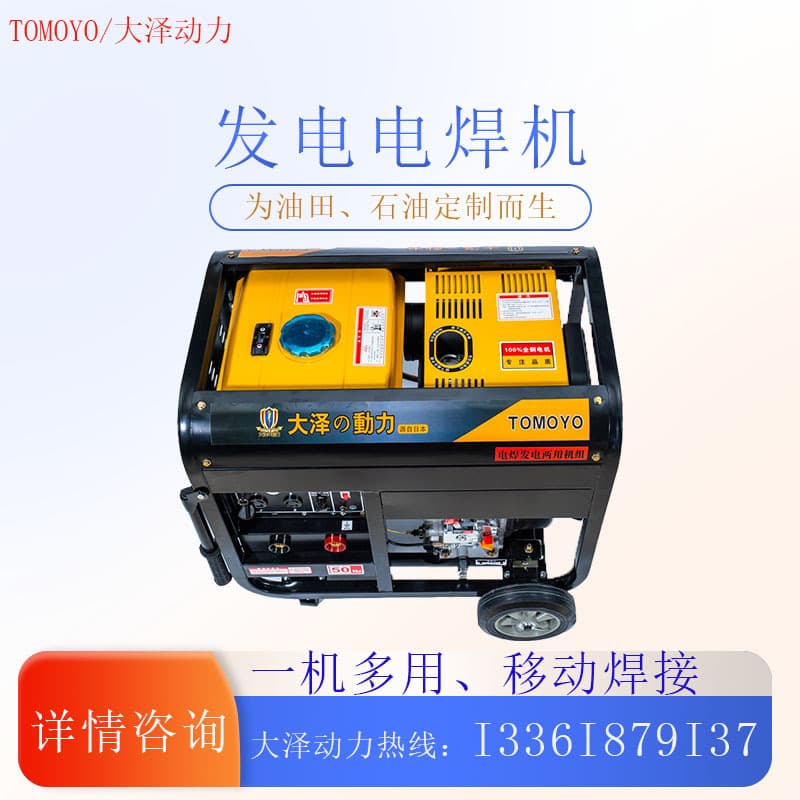 Daze Power Factory 190A 230A 250A 280A 300A Welding Generator with CE ISO Export Standards
