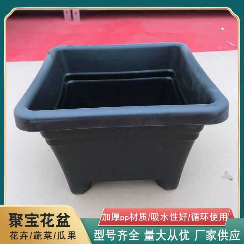 Square Plastic Small Flower Pot for Bonsai, Balcony Garden Succulent Planter