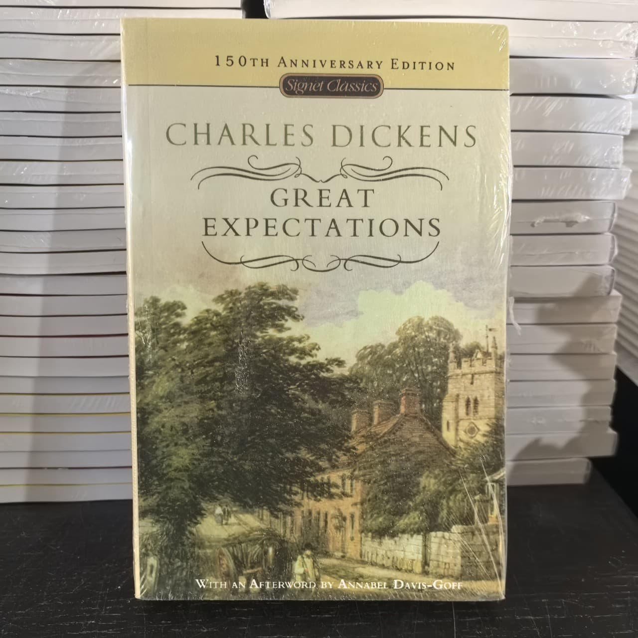 Great Expectations (English Version)