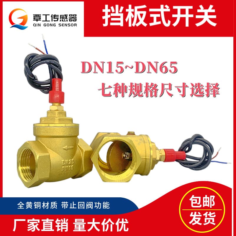 Professional manufacturer of air source heat pump baffle type flow switch sensor with check valve function water flow switch