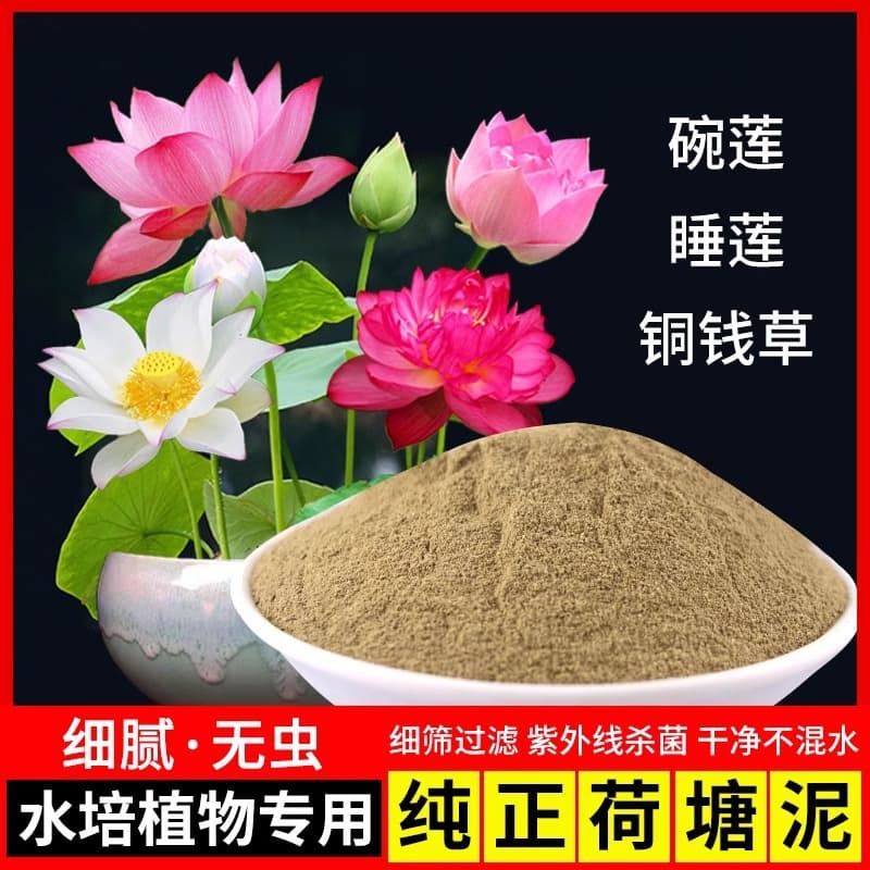 Natural Pond Mud for Bowl Lotus, Water Lily, Lotus, Mini Lotus, Pennywort, River Mud, Pond Mud, Flower Mud