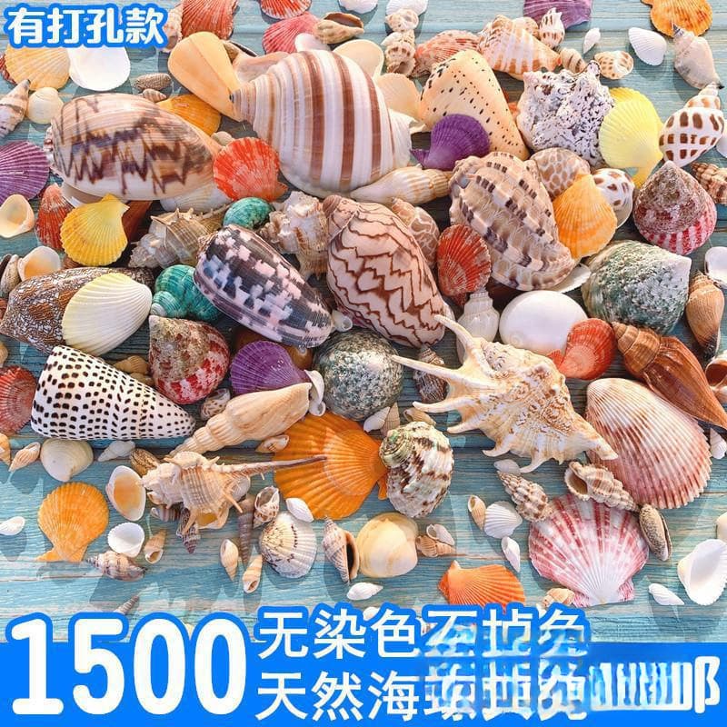 Free Shipping Natural Conch Shell Coral Base Fish Tank Aquarium Decoration Hermit Crab Handmade DIY Drift Bottle Set