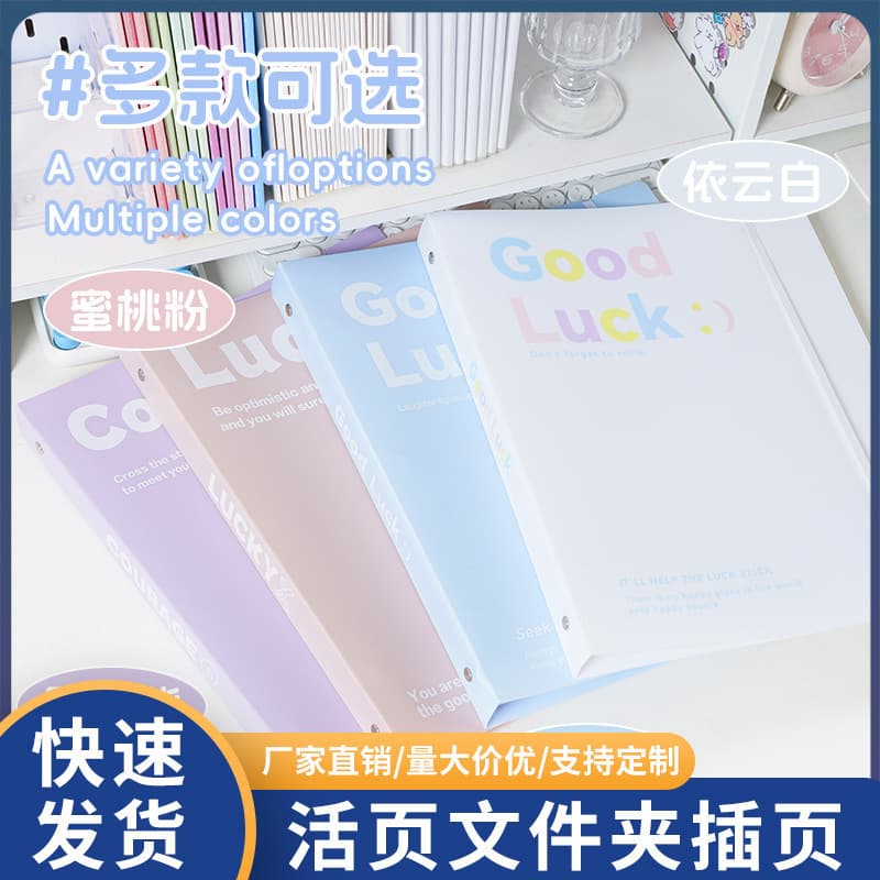 Office Organizer Binder Folder A4 Thick Transparent Document Pouch Study Materials Test Paper Storage Book Wholesale